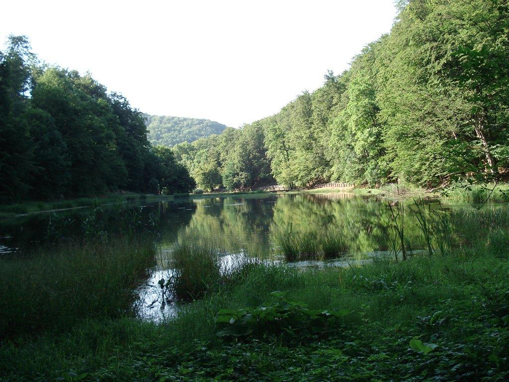 Trenkovo Seoski Turiziam Larva المظهر الخارجي الصورة